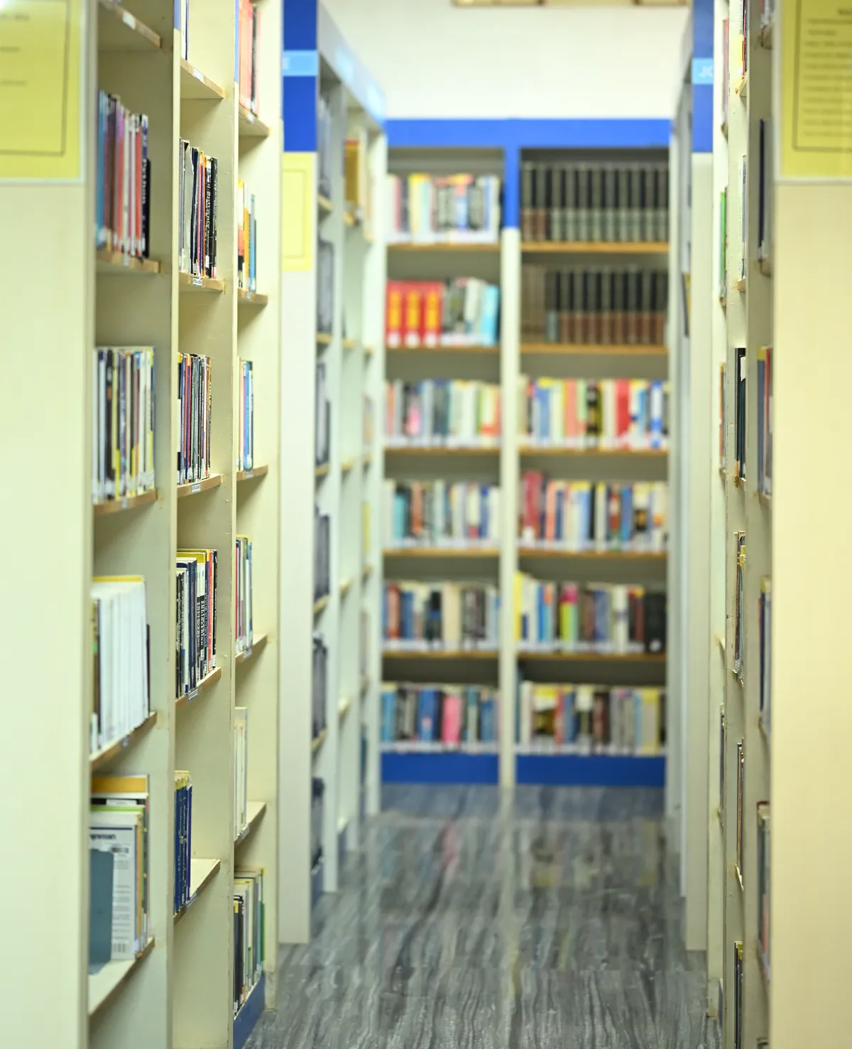 Kristu Jayanti Library Exploration & Knowledge Stacks